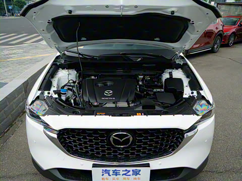 2025�� 2.0L �Զ���������Pro