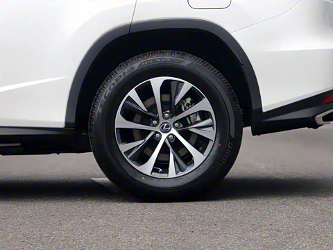 2020�� �Ŀ� 300 ������Ӣ��