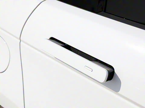 2022�� ����L P300e ���ʽ�綯��ϰ�