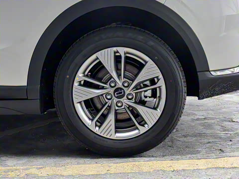 2025�� 445km ��ѡ��