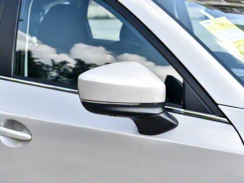 2025�� 2.0L �Զ���������Pro