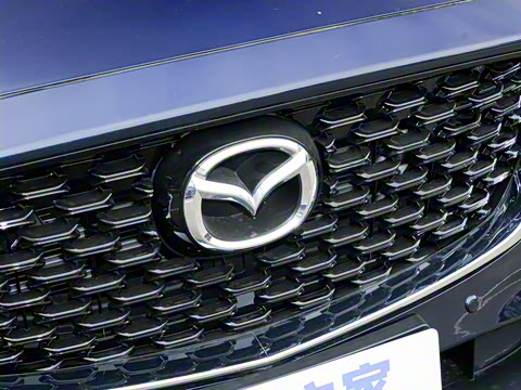 2025�� 2.0L �Զ�����������