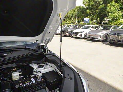 2025�� PRO 1.5T DCT ������ 7��