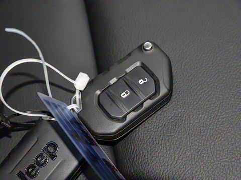 2019�� 2.0T Sahara ���ŵ綯����� ��VI