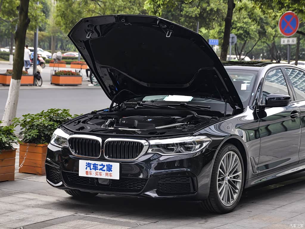 宝马5系(进口) 2020款 530i 风尚版 m运动套装 5722960图片_宝马_汽车