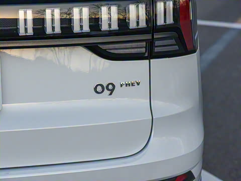 2021�� 2.0T PHEV Halo ����