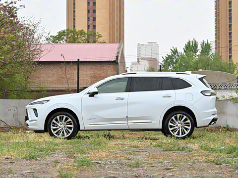 2025�� ������Plus ����Avenir��ά��