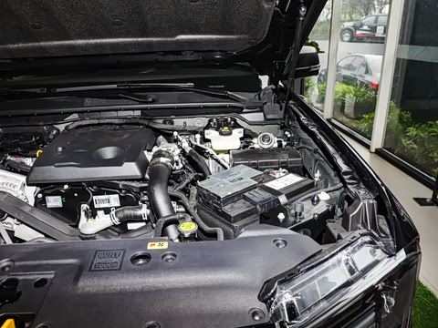 2025�� ̽�������Զ��� ����