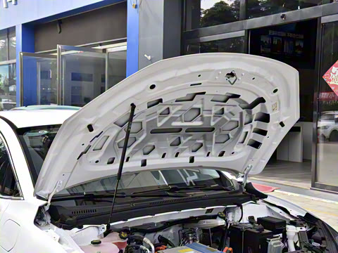 2023�� ׷�ΰ� 40��׼��