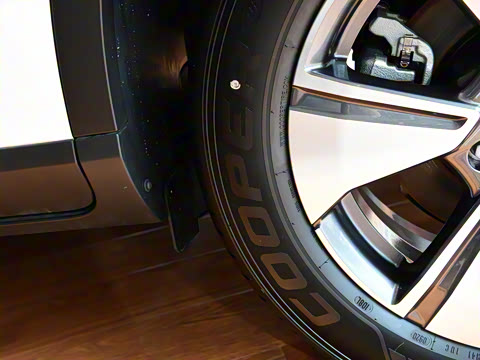 2020�� 1.5T PHEV������