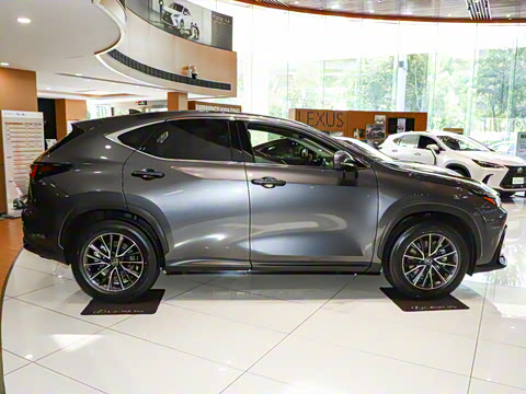 2025�� 260 ǰ�� �ر��