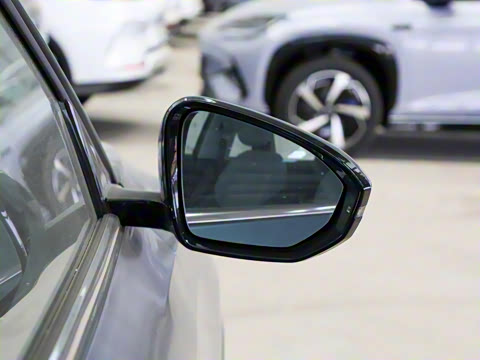 2025�� 565km ������