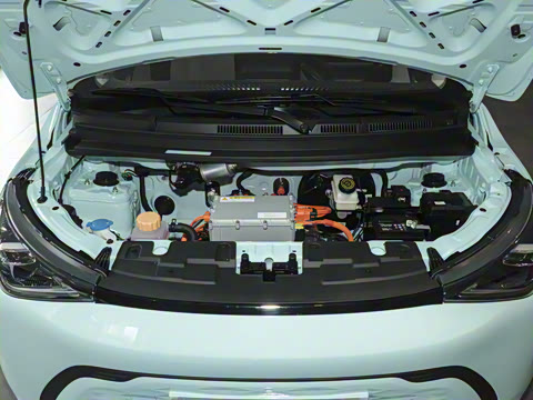 2026�� Mate 305km ����̤�˰�