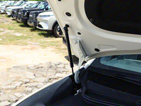 2025�� DM-i 170�캽Pro��