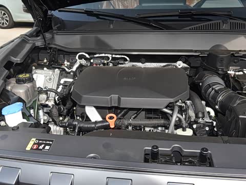 2025�� 2.0T 4WD Pro