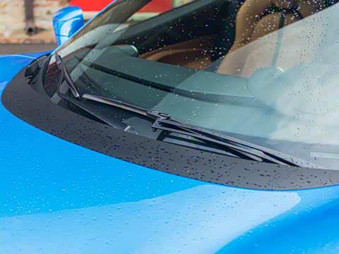 2019�� Tributo 3.9T V8