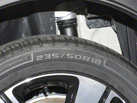 2026�� �鶯������