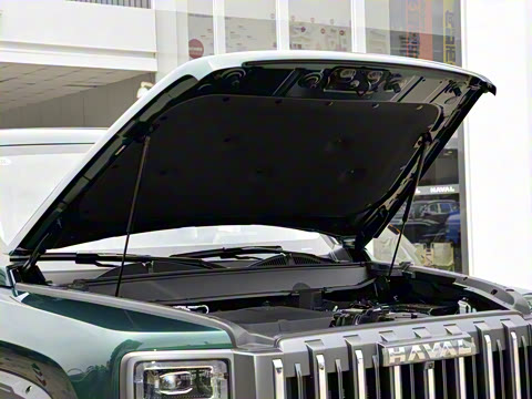 2025�� 2.0T 4WD Pro