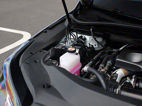 2020�� �Ŀ� 300 ������Ӣ��