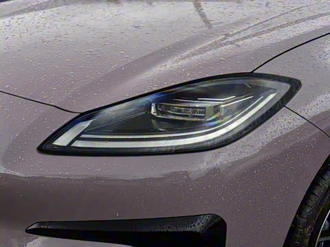 2025�� 650 ������