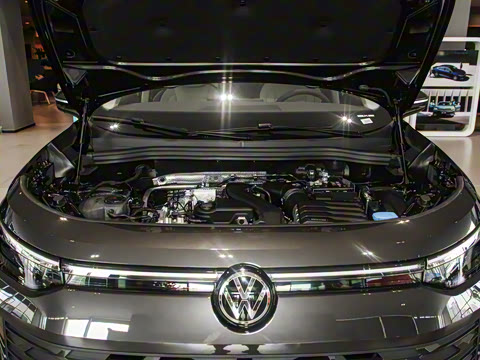 2025�� ̽��L 300TSI ������Ӣ