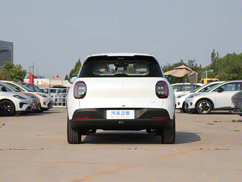 2025�� 330��ҫ��