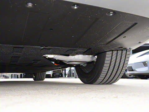 2025�� 702���������� Max