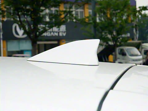 2025�� 2.0L �Զ���������Pro