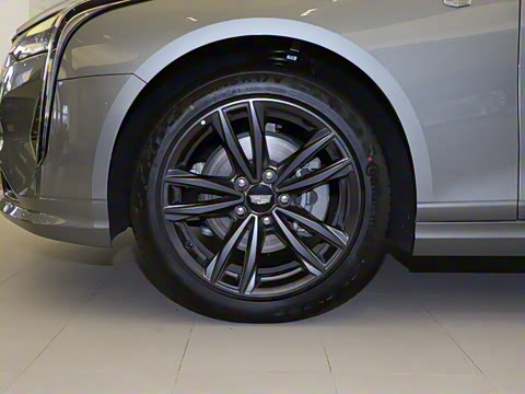 2023�� 25T ������