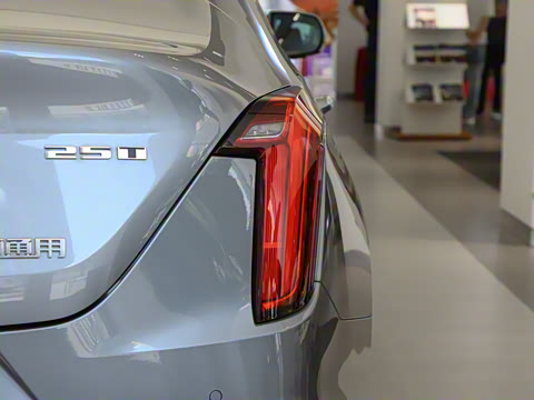 2023�� 25T ������