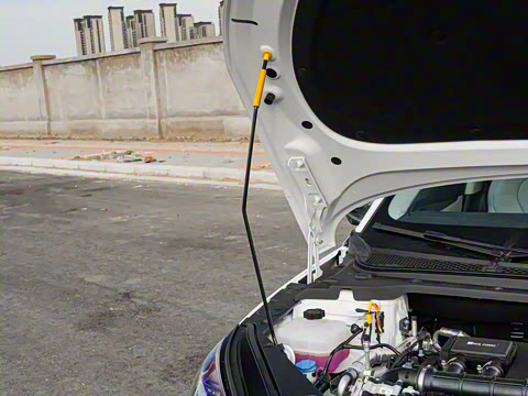 2025�� DM-i 80KM�����