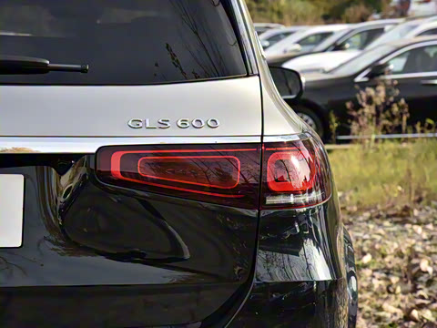 2021�� GLS 600 4MATIC ���а�