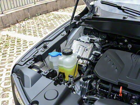 2022�� 2.0T DCT��������Ȯ׷�԰�