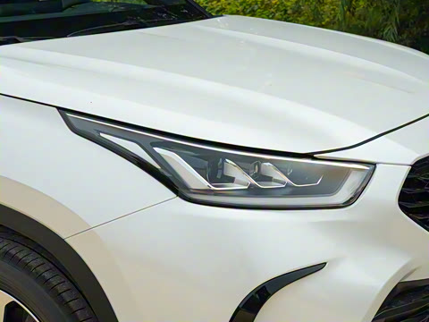 2022�� 2.5L HEV��������