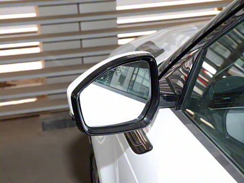 2022�� ����L P300e ���ʽ�綯��ϰ�