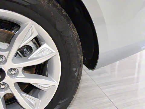 2019�� 30TD �Ͷ���