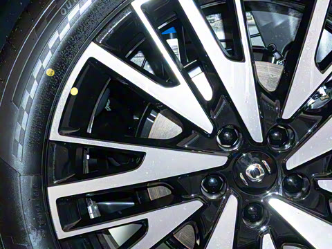 2025�� 215������