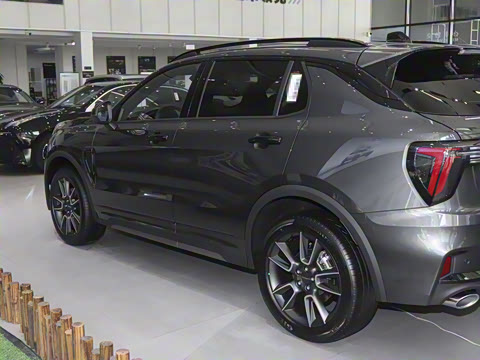 2025�� 2.0TD ��������Pro��