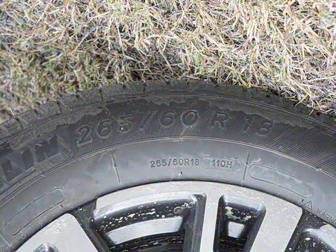 2023�� ���а� 2.0T ������