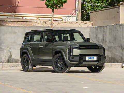 2025�� 501���������