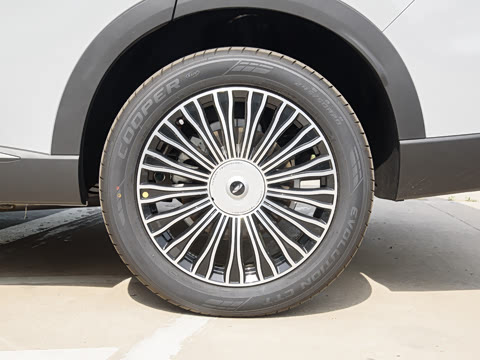 2025�� 210 �����������콢�� 7�� ��Ԫ�+M3P