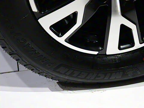 2021�� ������