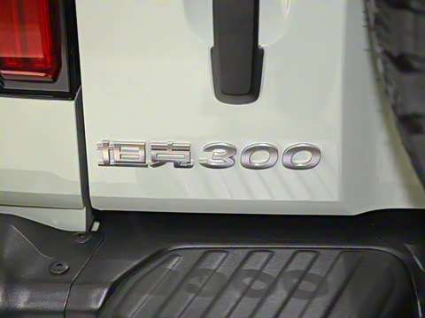 2023�� 2.0T ����02