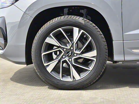 2024�� 280TSI �Զ��콢��