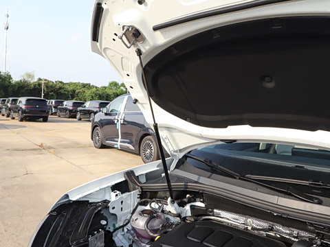 2025�� �Ŀ� ������ 330TSI