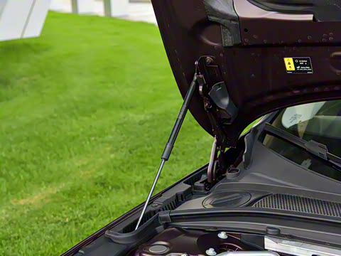 2026�� B5 ���ź�����