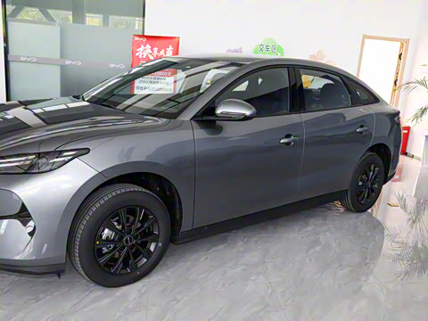 2025�� 520�ǻݰ�