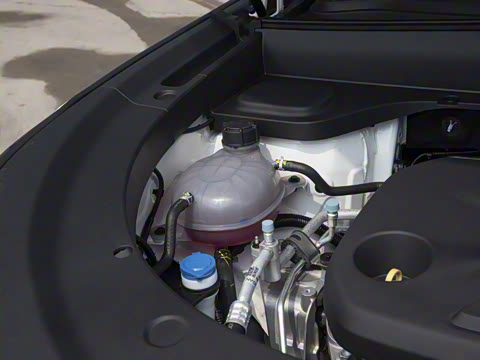 2025�� 145������