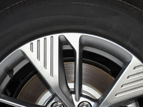 2021�� �г���չ��