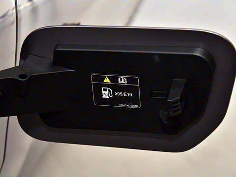 2025�� FREE+ ����Ǭ����